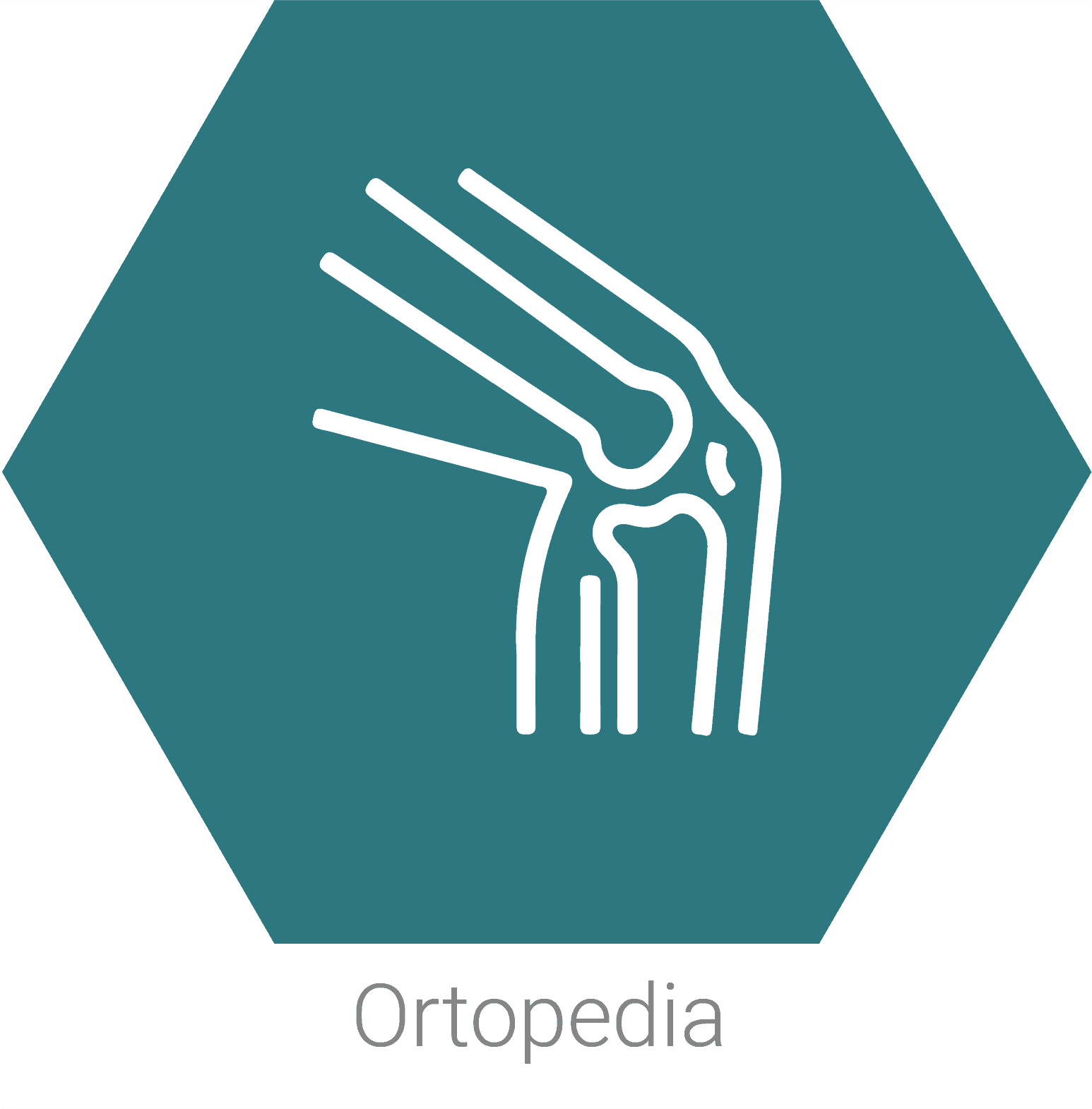 Ortopedia_1
