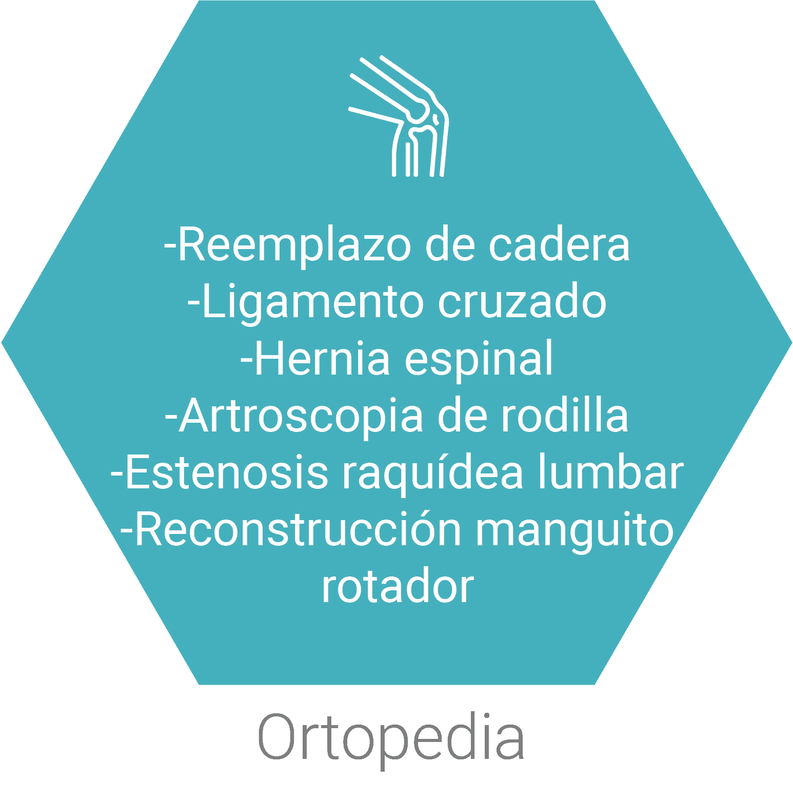 ortopedia 3